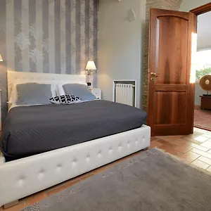 Divine Stylish Roma